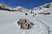 Dai boschi fioriti di Cornalba alle nevi dell鈥橝LBEN il 31 gennaio 2020- FOTOGALLERY